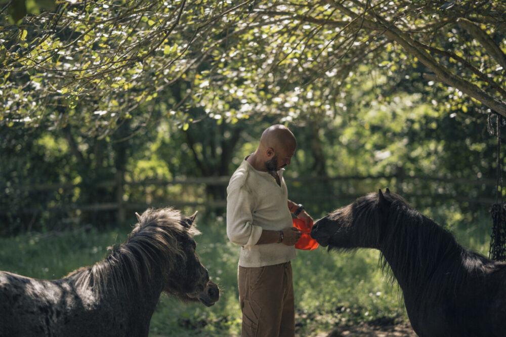 Hercules Falling awarded at the Tallinn Black Nights Film Festival !